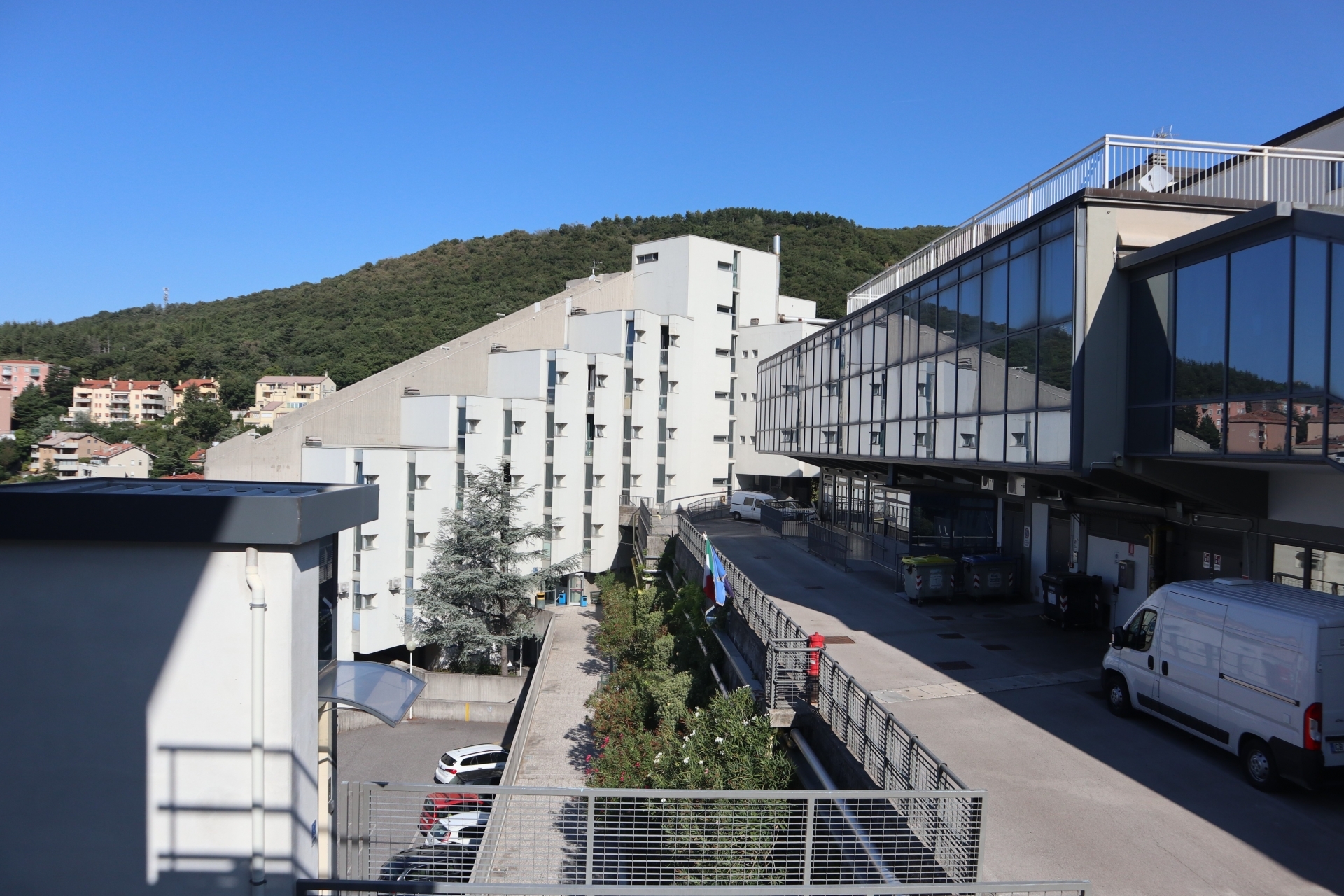 ARDIS FVG contributi 2025-2026