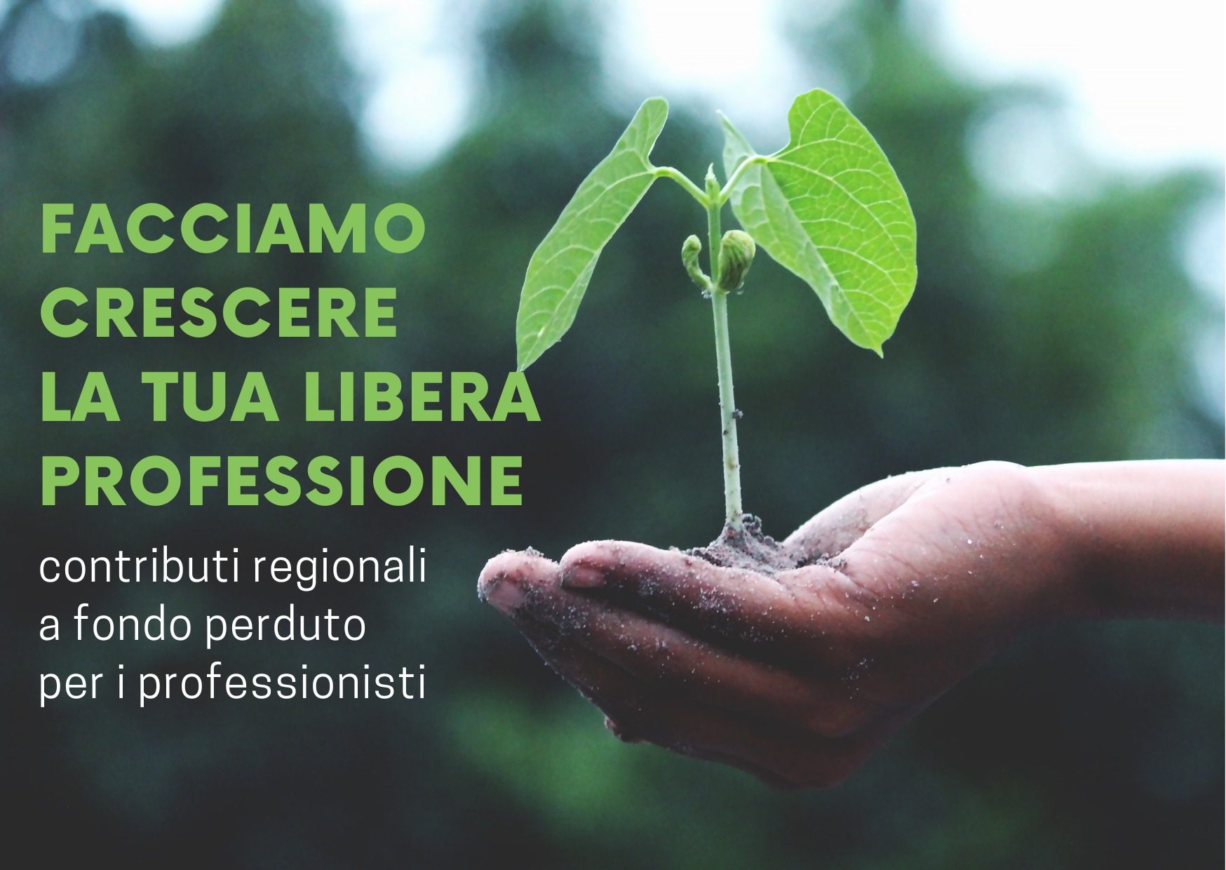 Lavoro FVG contr reg fondo perd 2025 Lavoro FVG contr reg fondo perd 2025